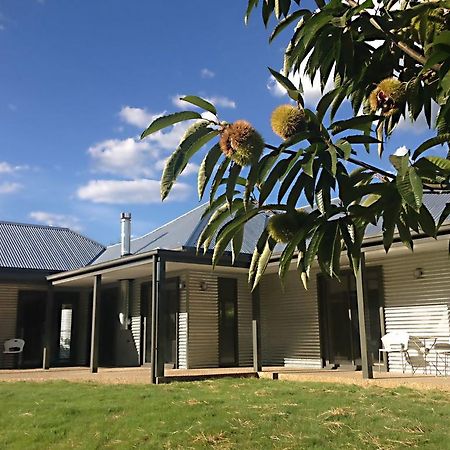 3 Bells Alpine Cottage برايت المظهر الخارجي الصورة