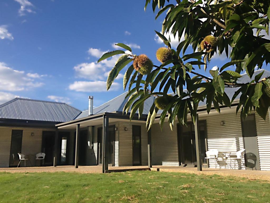 3 Bells Alpine Cottage برايت المظهر الخارجي الصورة